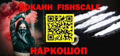 шишки Славгород