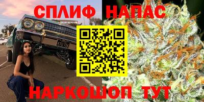 a pvp Славянск-на-Кубани