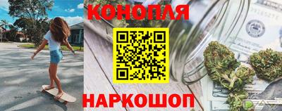 шишки Славгород