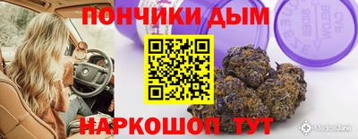 шишки Славгород