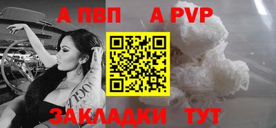 шишки Славгород