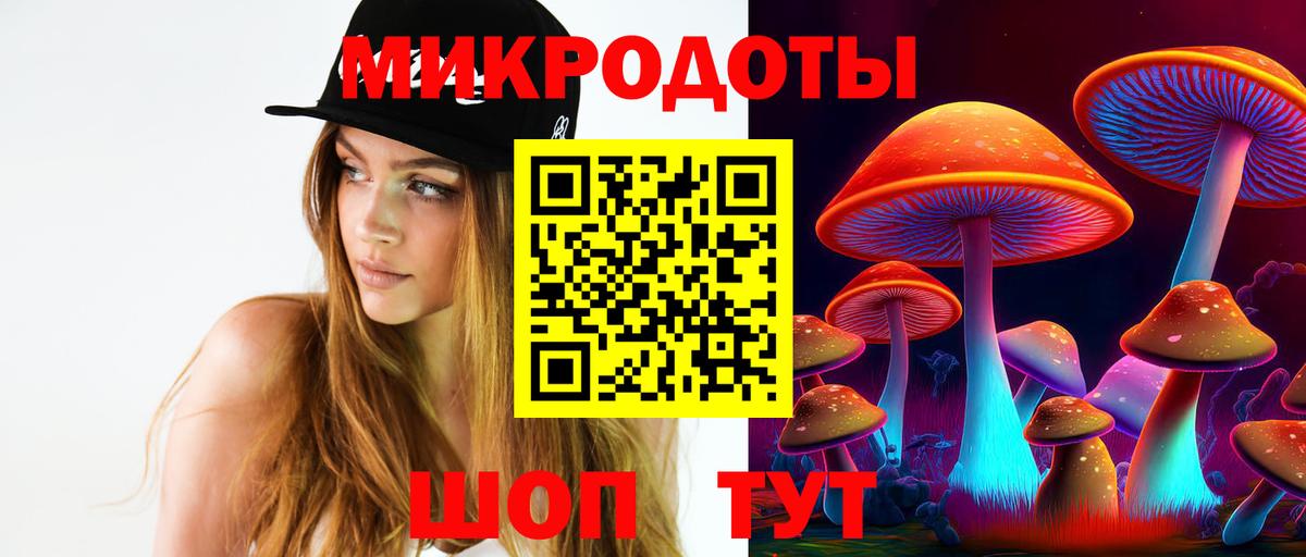 Псилоцибиновые грибы Cubensis Орехово-Зуево